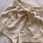 Thumbnail for Aritzia shorts