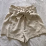 Thumbnail for Aritzia shorts