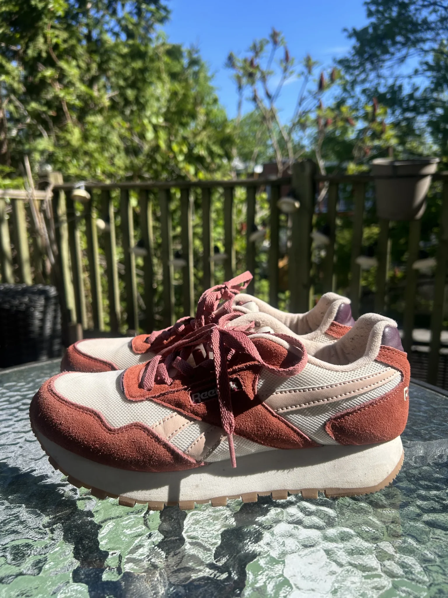 Featured image for Reebok burgundy accent rose