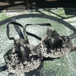 Featured thumbnail for Soutien-gorge 38C magnifiques détails de dentelle