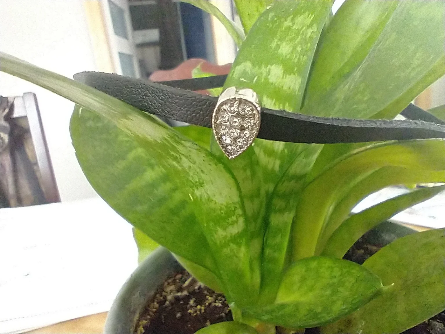 Image for Chocker