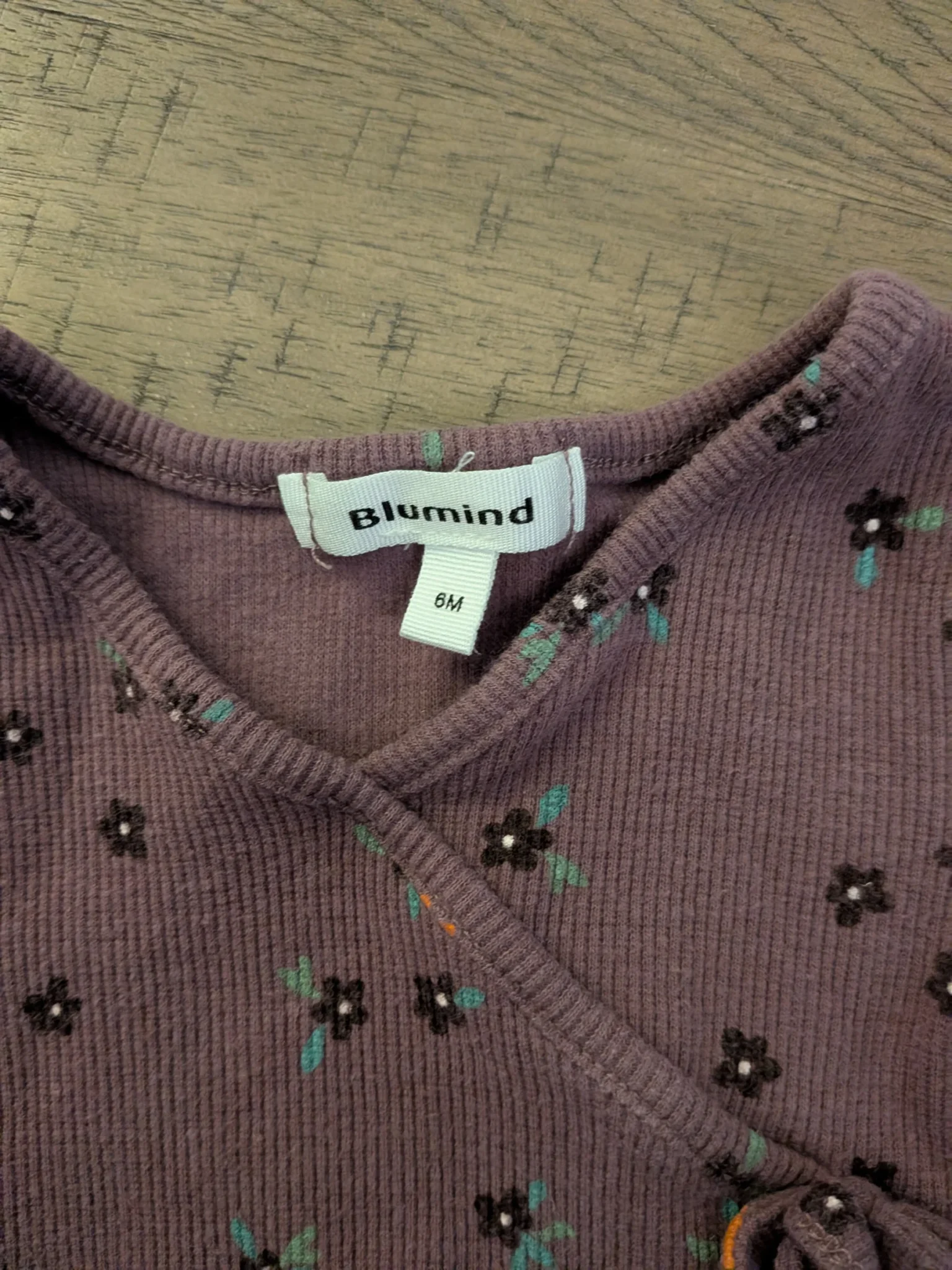 Image for Ensemble Blumind
