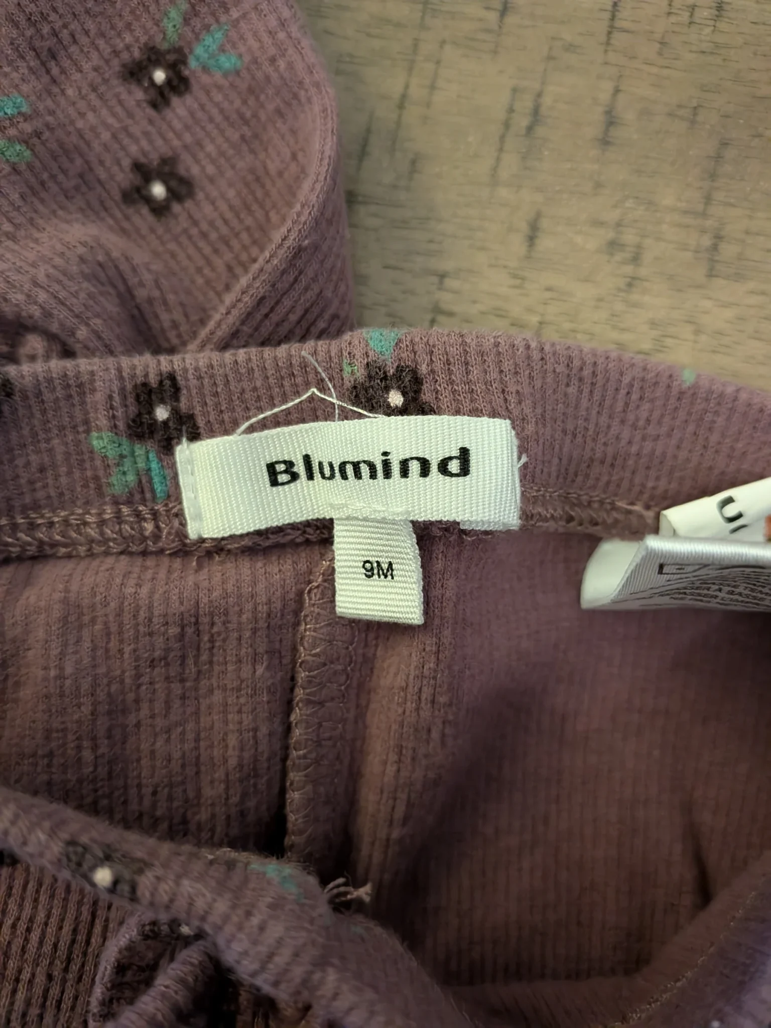 Image for Ensemble Blumind