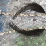 Thumbnail for Boucles d'oreilles