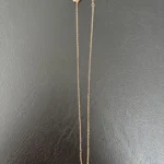 Thumbnail for Collier COACH or rose