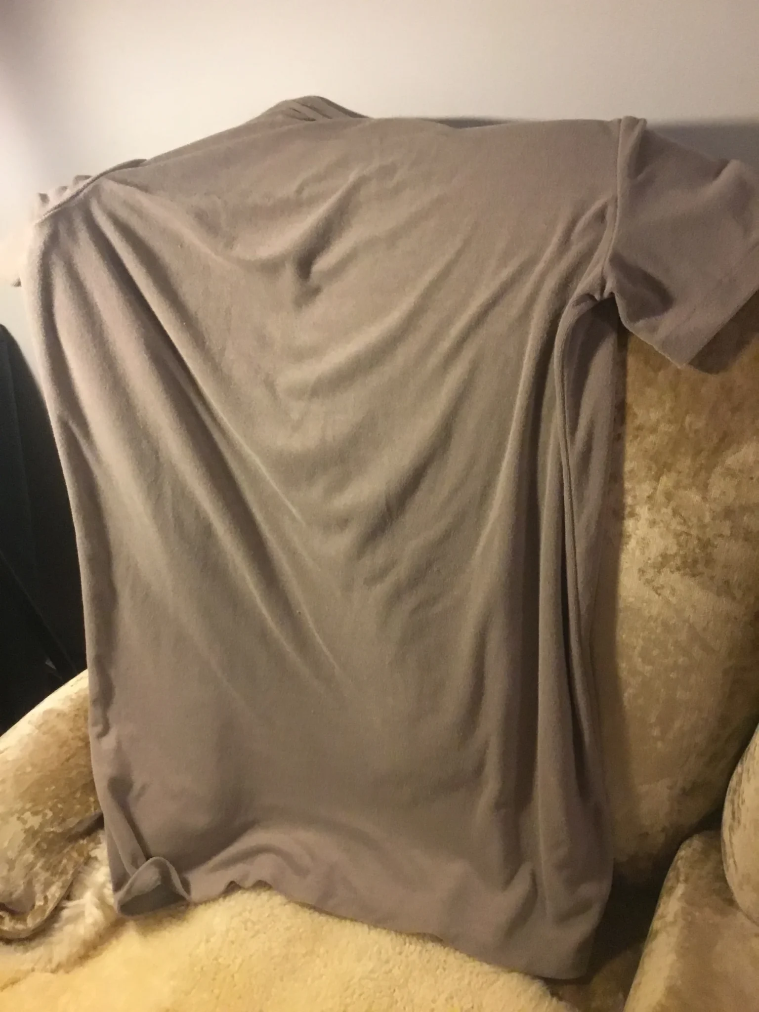Image for Robe tee shirt coton effet velours, large
