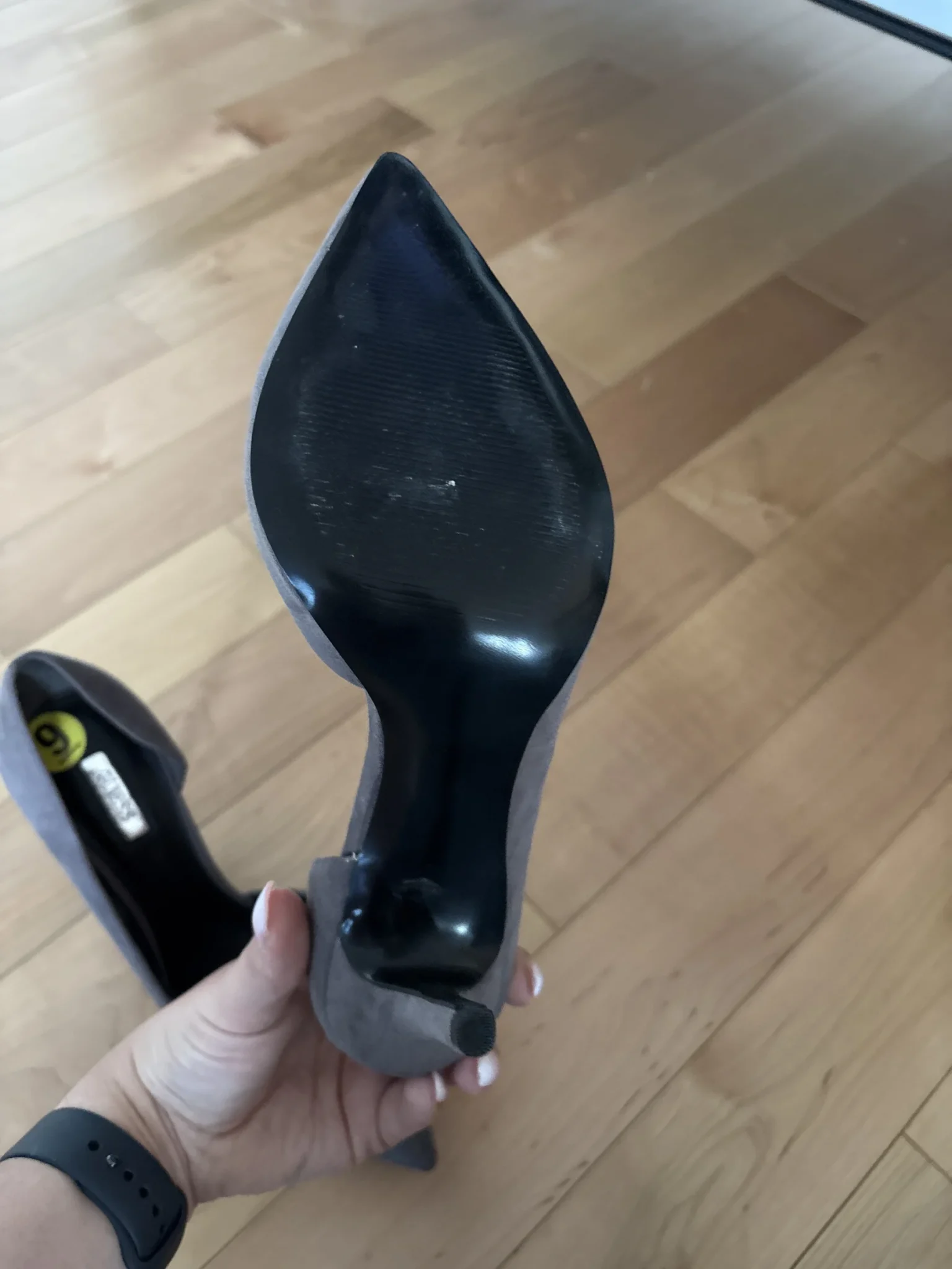 Image for Talons Guess