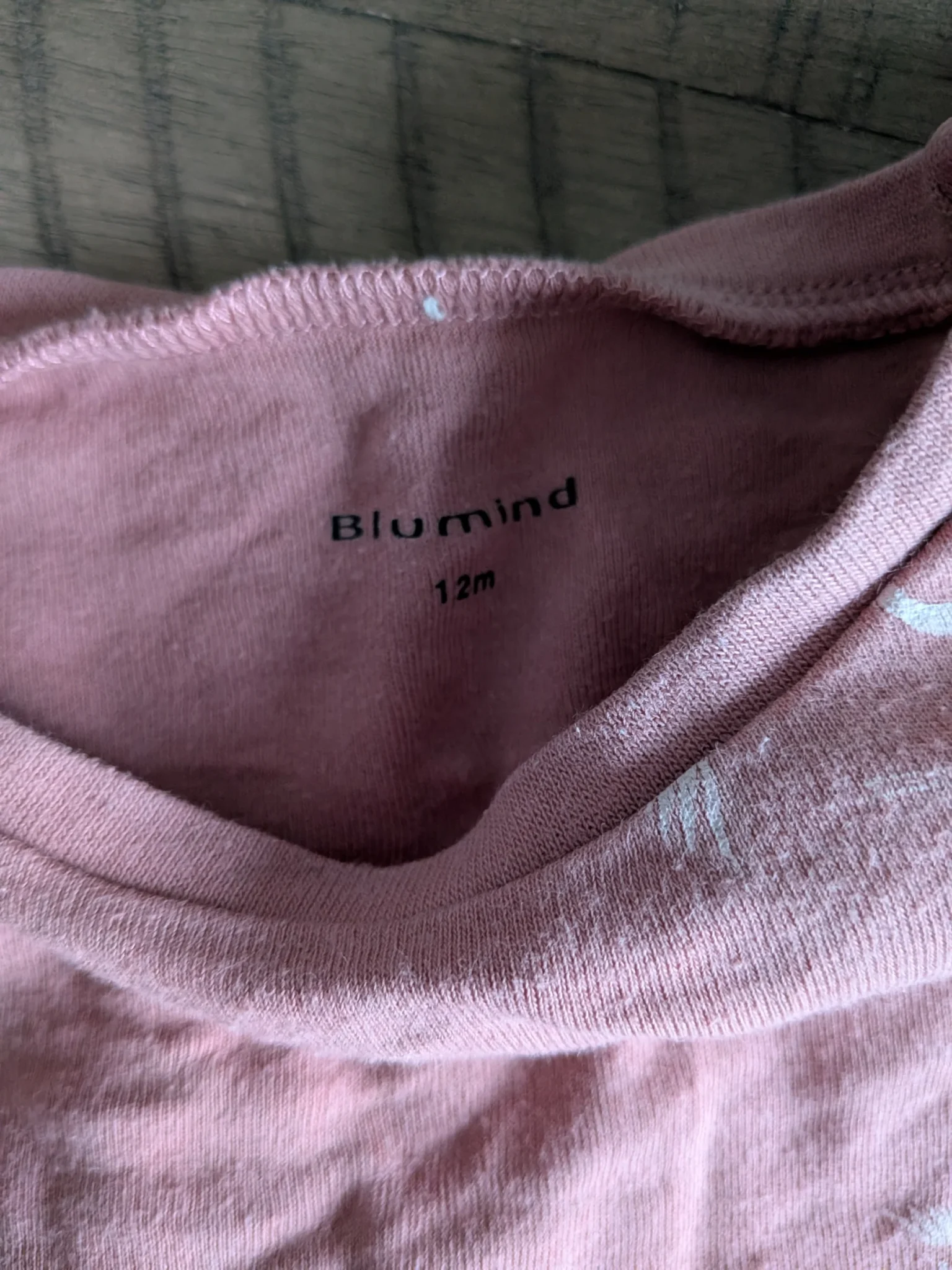 Image for Ensemble Blumind
