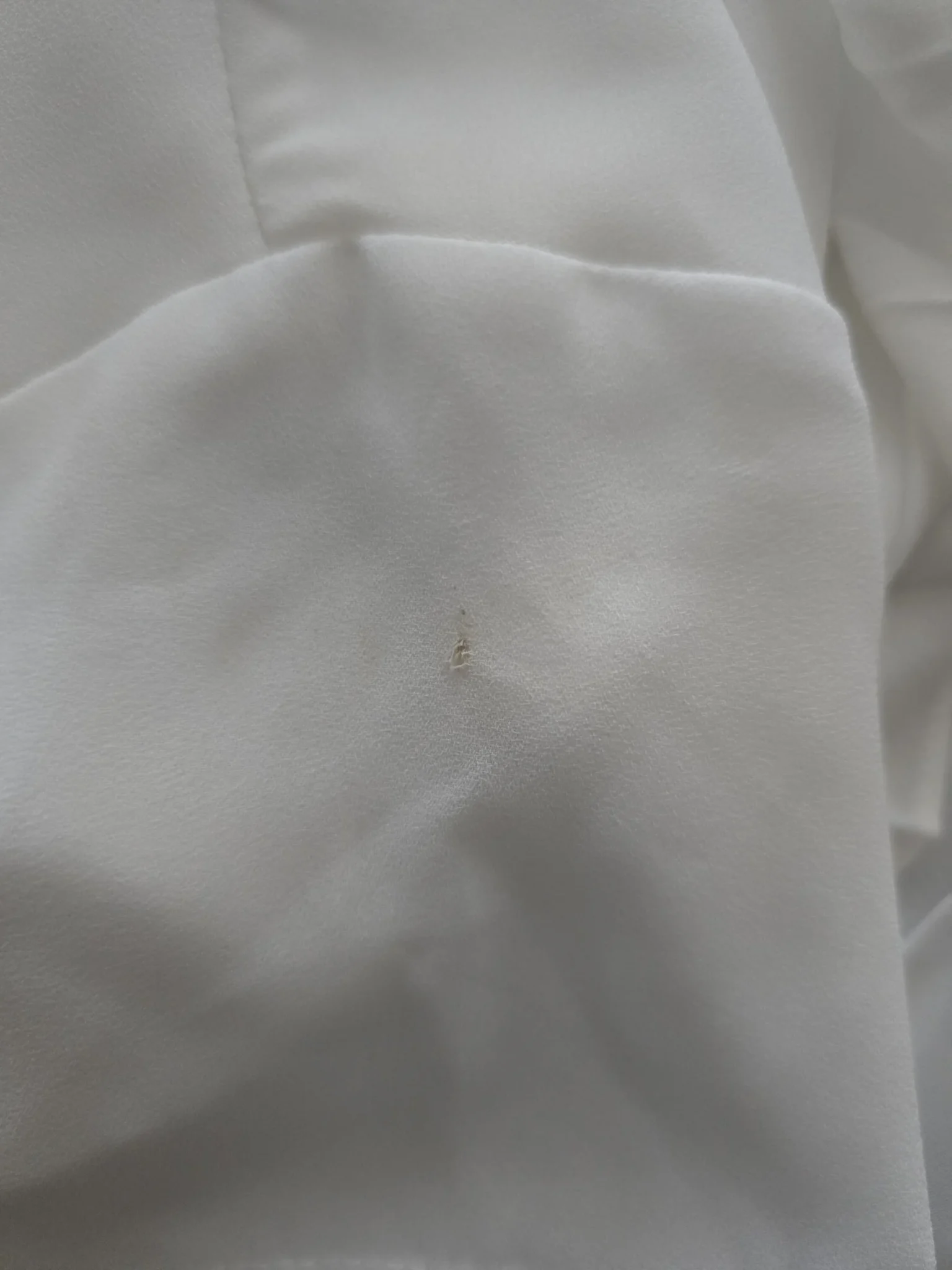 Image for 🌟 Blouse blanche manches courtes