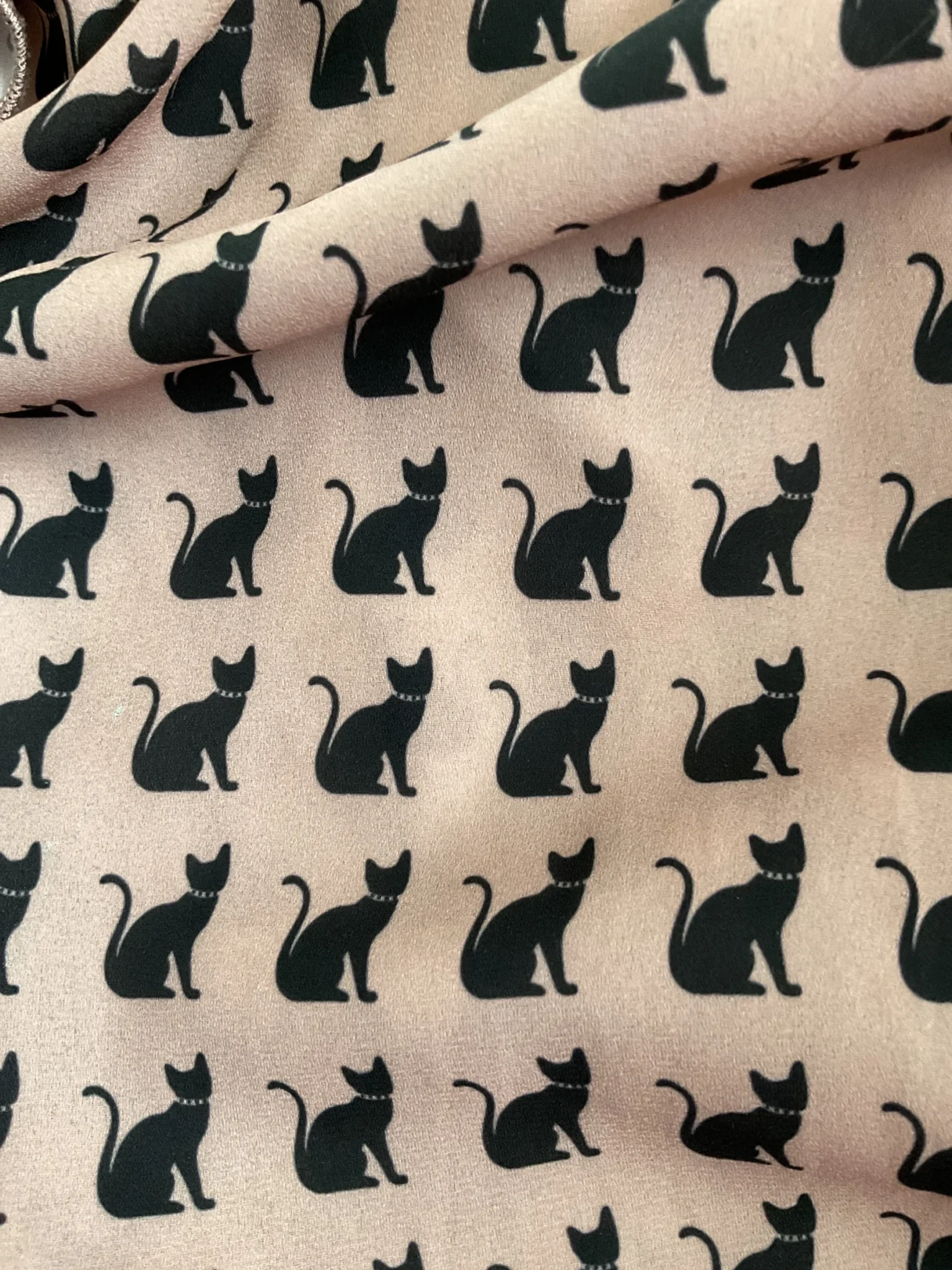 Image for Blouse chat