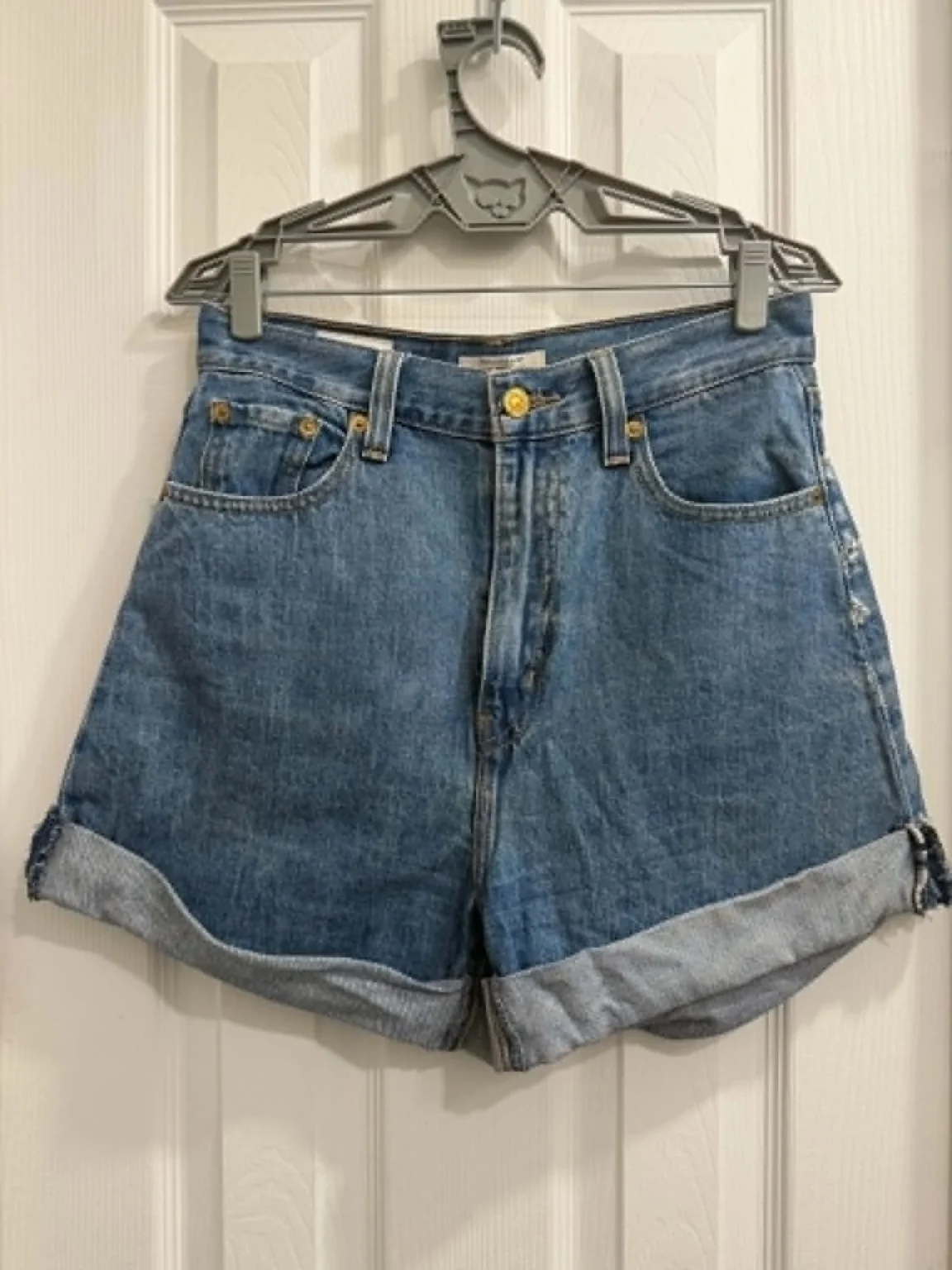 Featured image for Short Levi's Pokémon