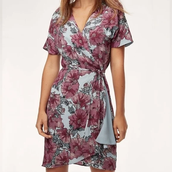 Featured image for Aritzia Babaton Wallace Dress Size XS
