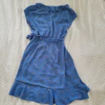 Thumbnail for Sunday Best dress (Aritzia) 00