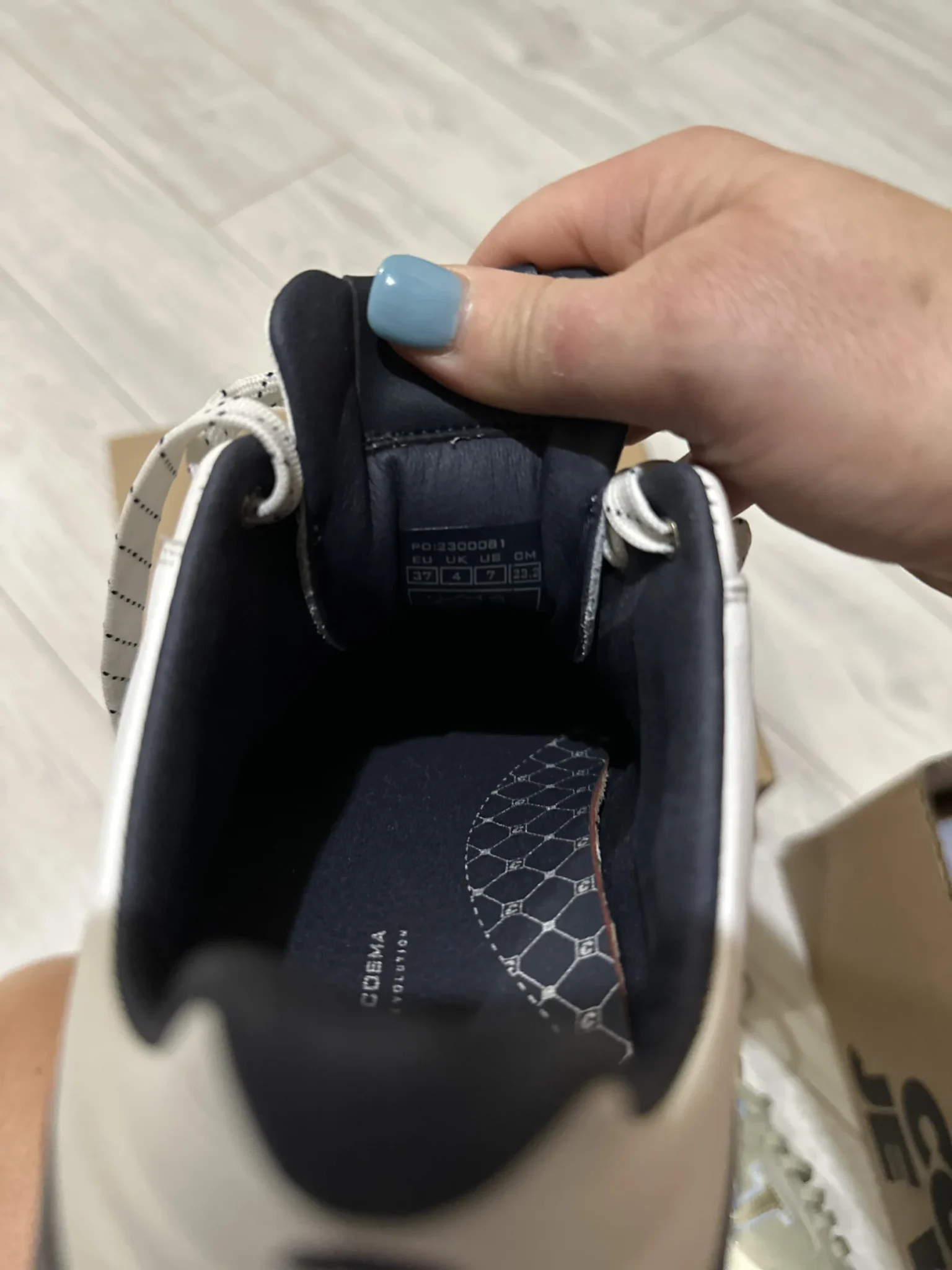 Image for Souliers de golf Duca del Cosma Alesi