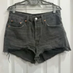 Featured thumbnail for Short Levi's