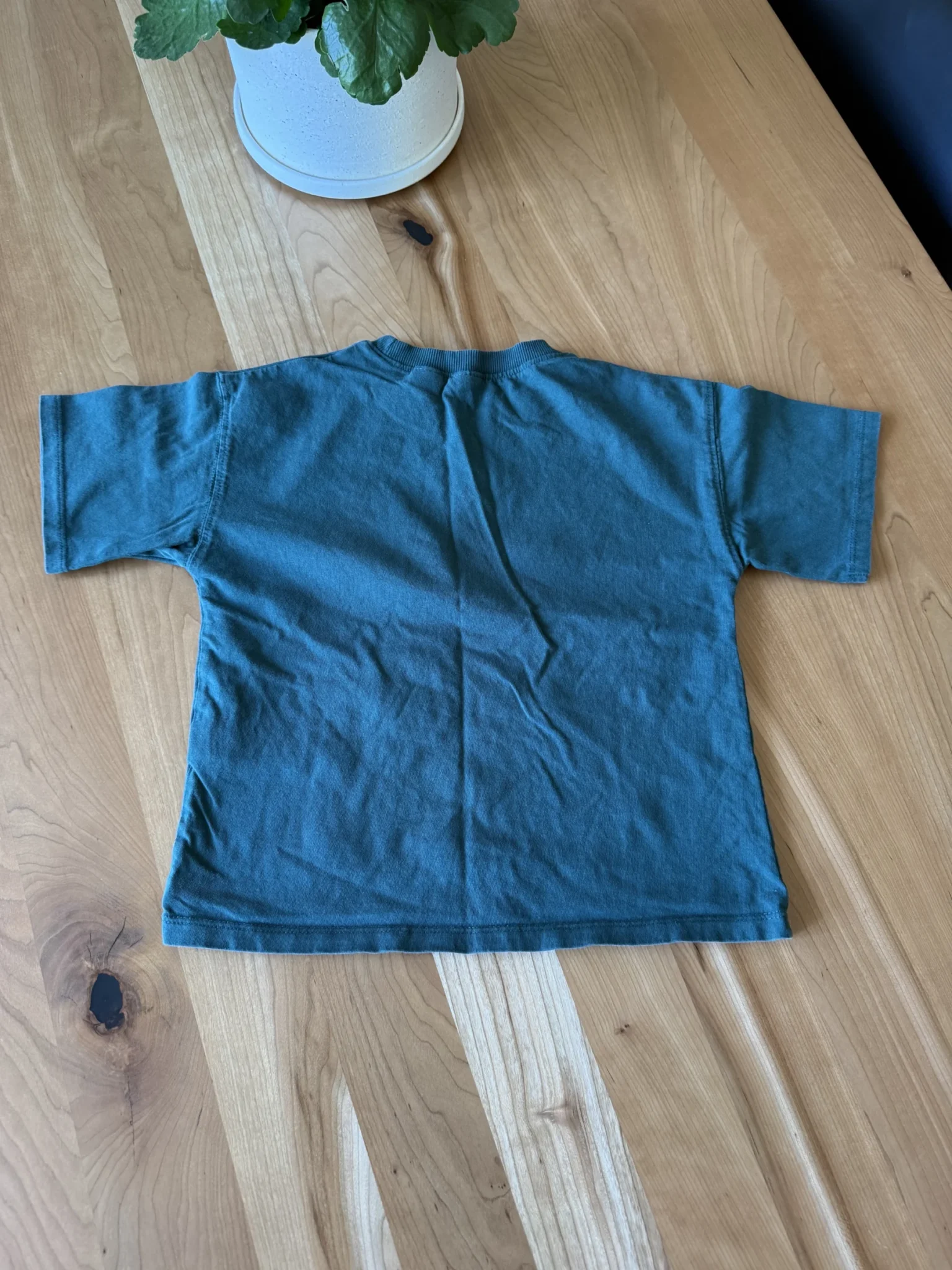 Image for Tshirt vert forêt New York