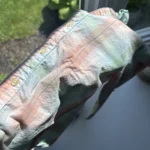 Thumbnail for Chemise couleurs pastel