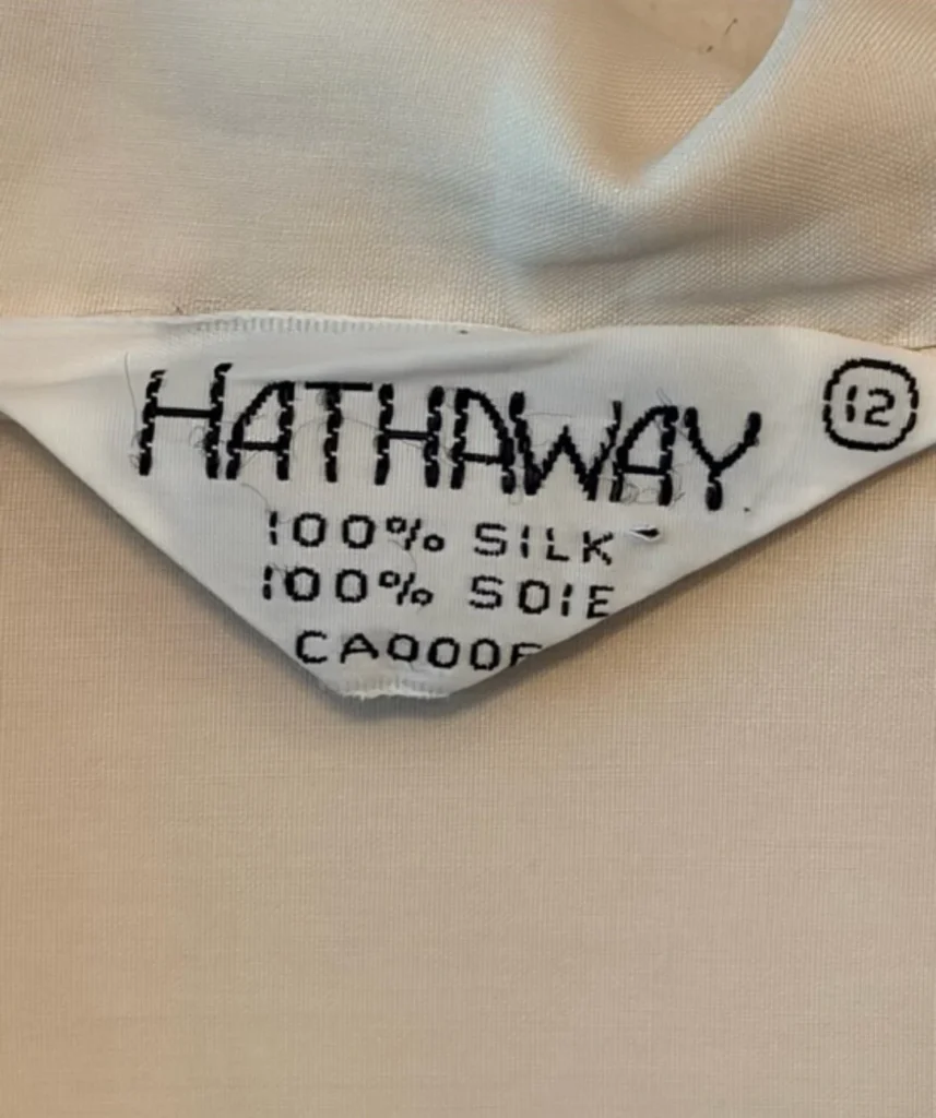 Image for Chemise 100% soie