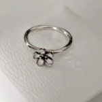 Featured thumbnail for Bague Pandora