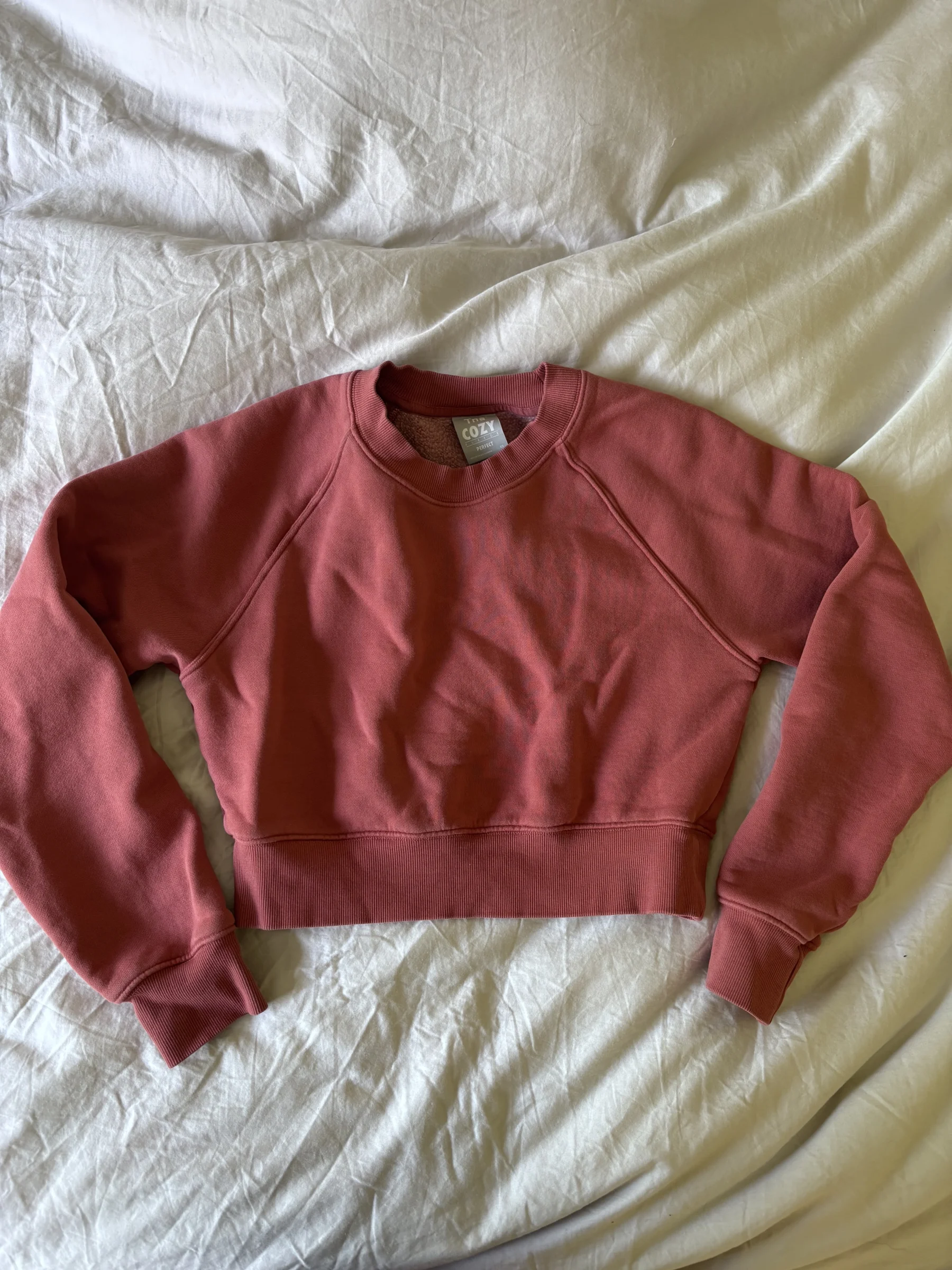 Aritzia Cozy Fleece sweater Aritzia seconde main