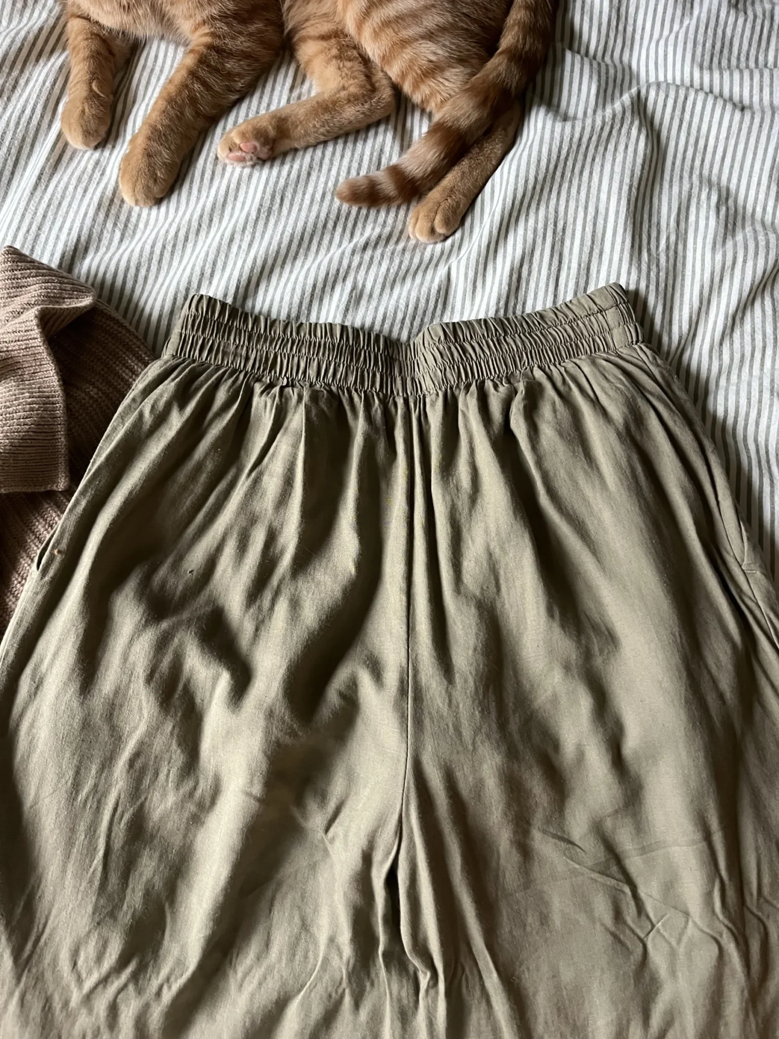 Image for Pantalons avec lin