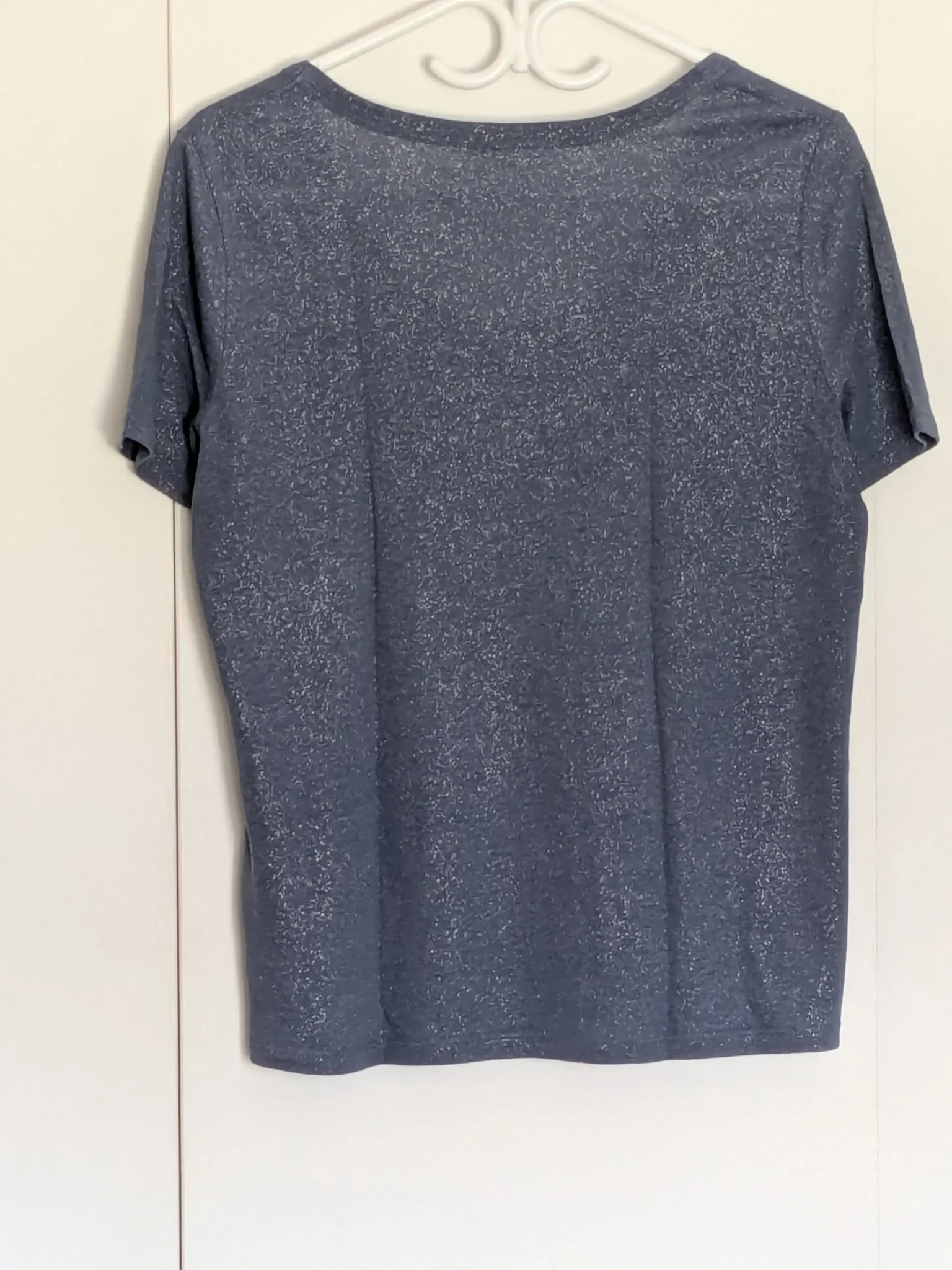 Image for Shiny T-shirt