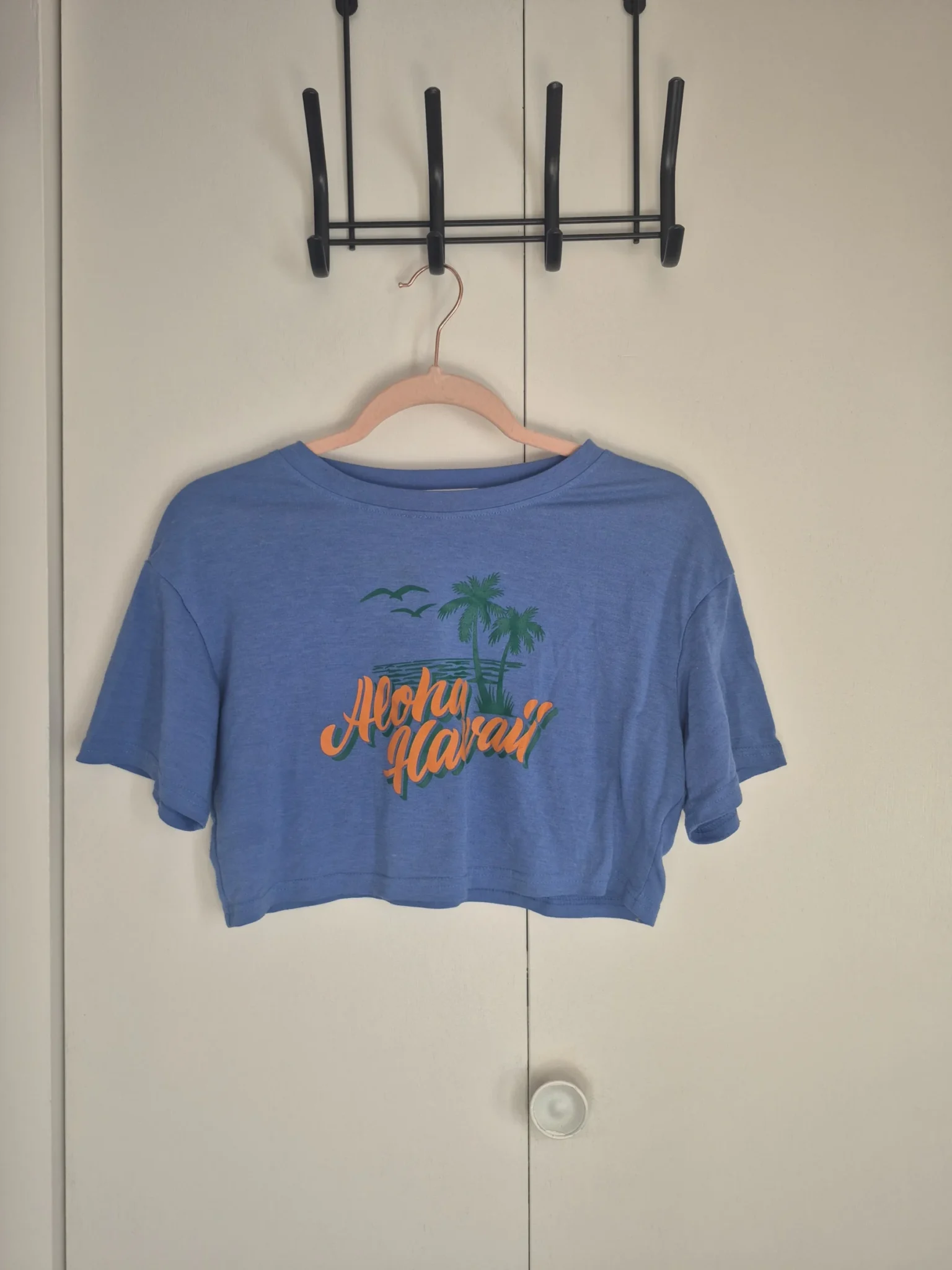 Featured image for Aloha Hawaii T-shirt, Small