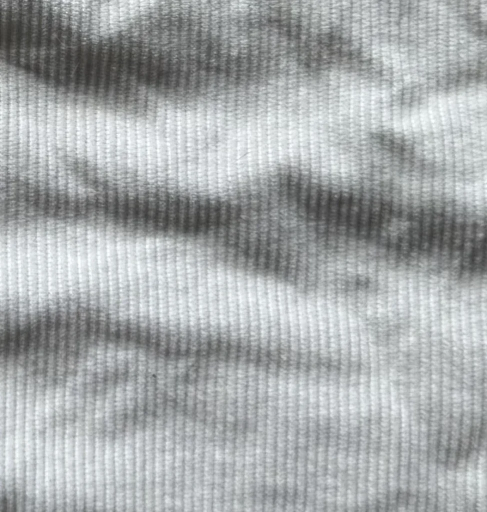 Image for Jupe en corduroy