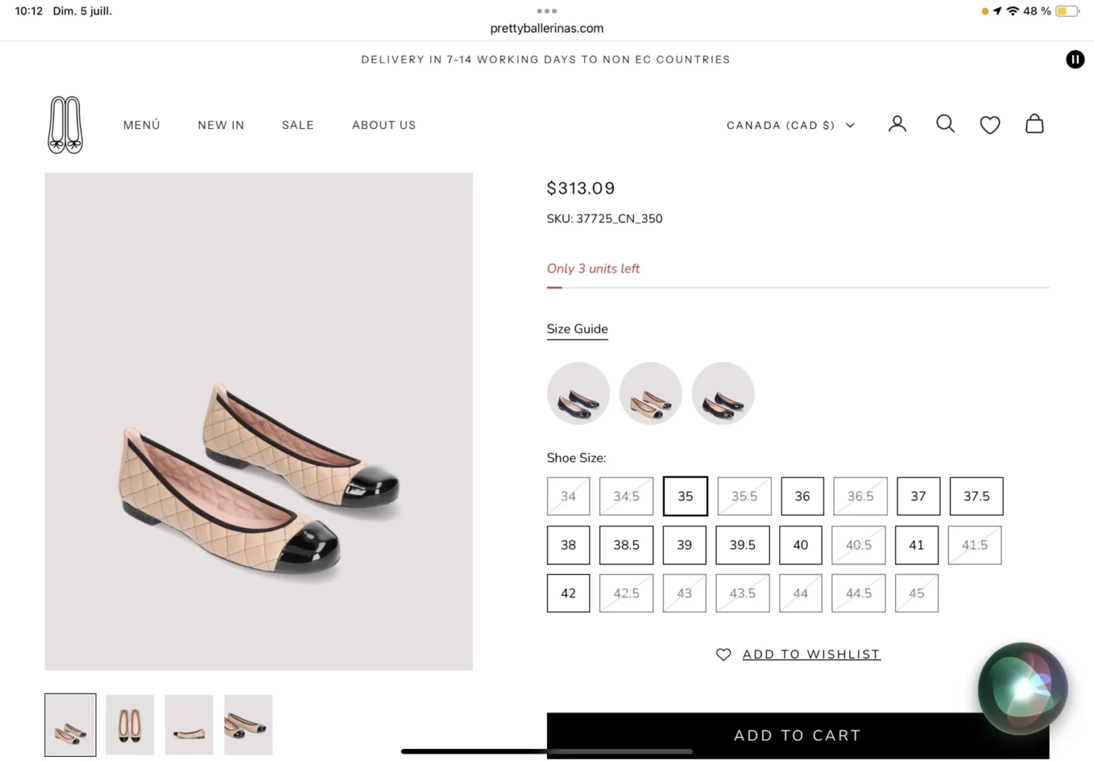 Image for Pretty Ballerinas ballet flats