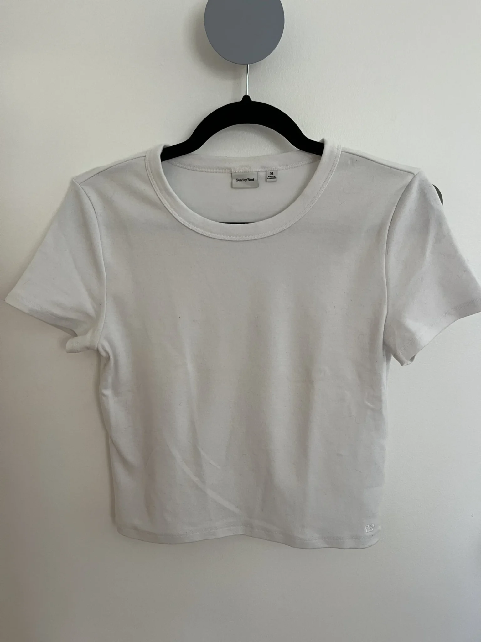 Image for Aritzia white T-shirt