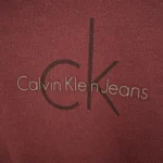 Thumbnail for Hoodie Calvin Klein