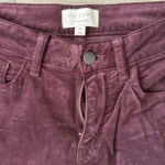 Thumbnail for Pilcro Anthropologie Velvet Corduroy Pants 26