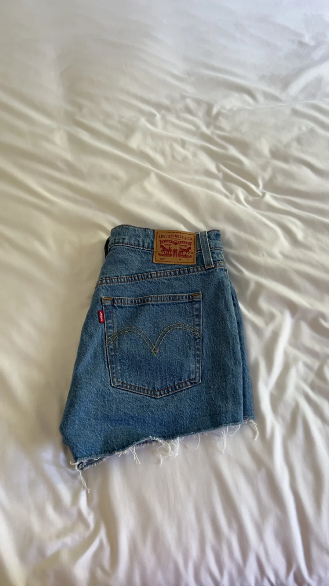 Featured image for Short 501 Levis