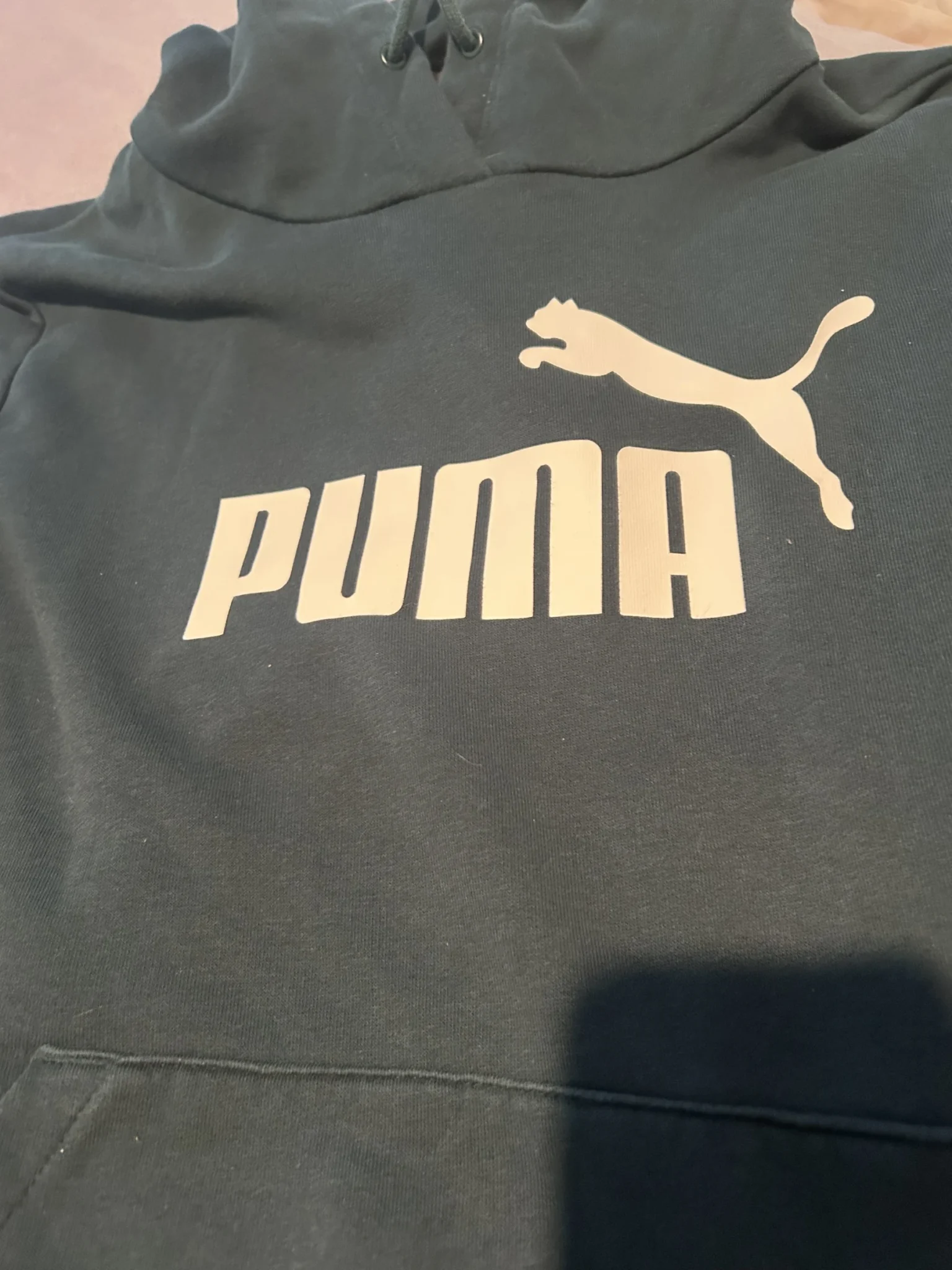 Image for Hoodie Puma Vert