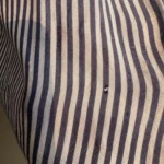 Thumbnail for Chemise à rayures Zara bleu & blanc