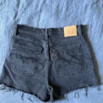 Featured thumbnail for Shorts Levis Ribcage