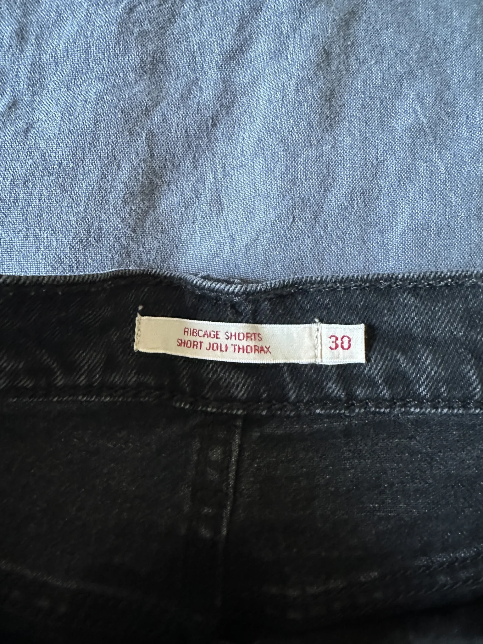 Image for Shorts Levis Ribcage