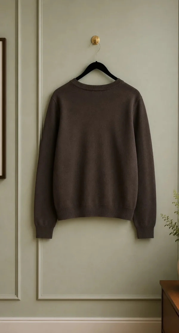 Image for Pull brun