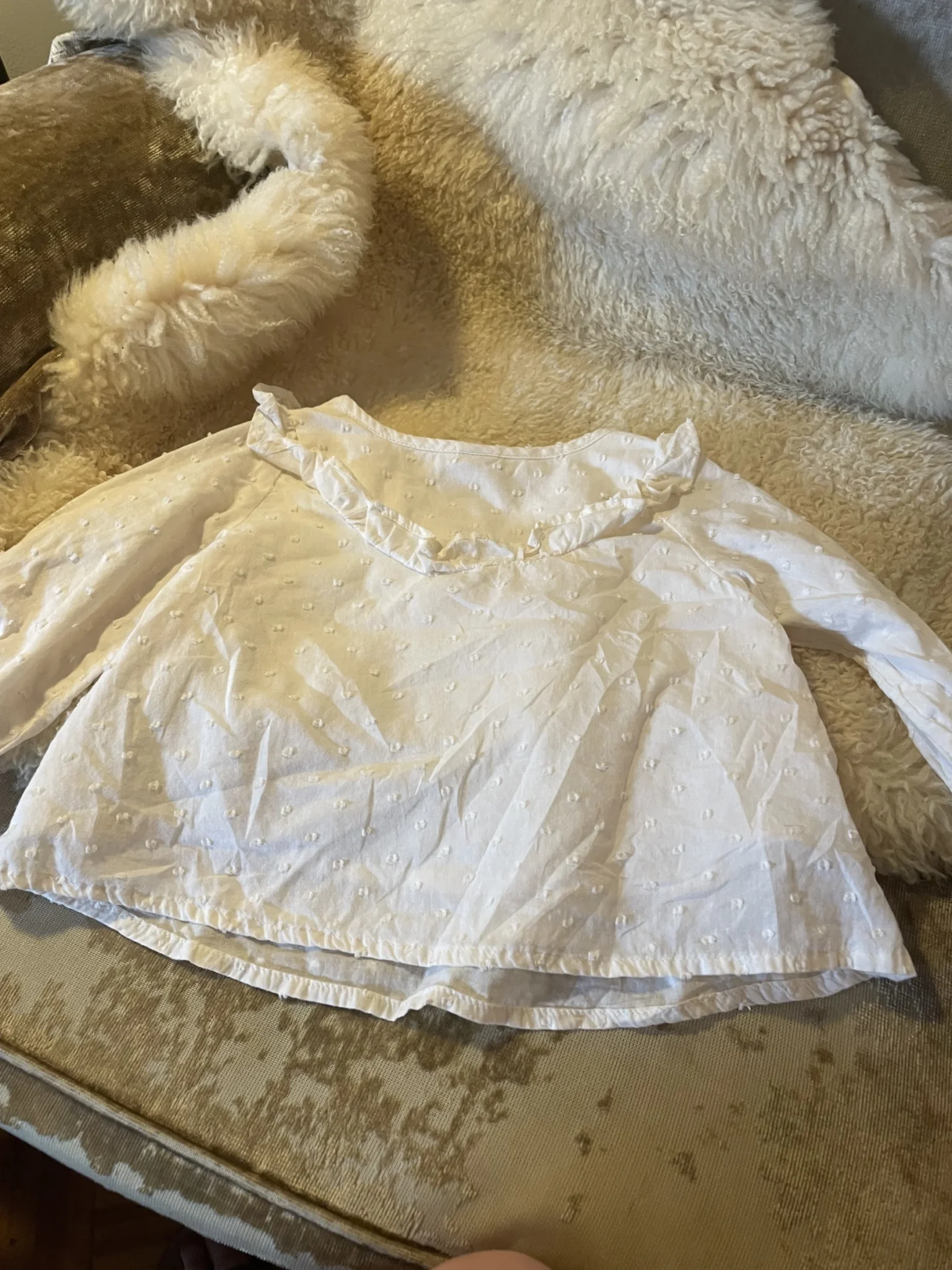 Image for Blouse féminine très mignon look 6 - 12 mois