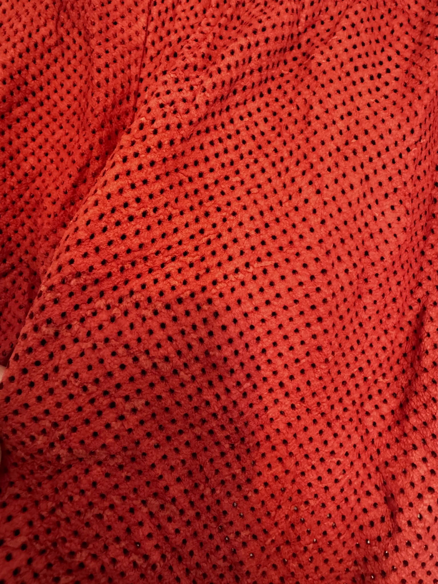 Image for RAILS Micro-short en cuir perforé