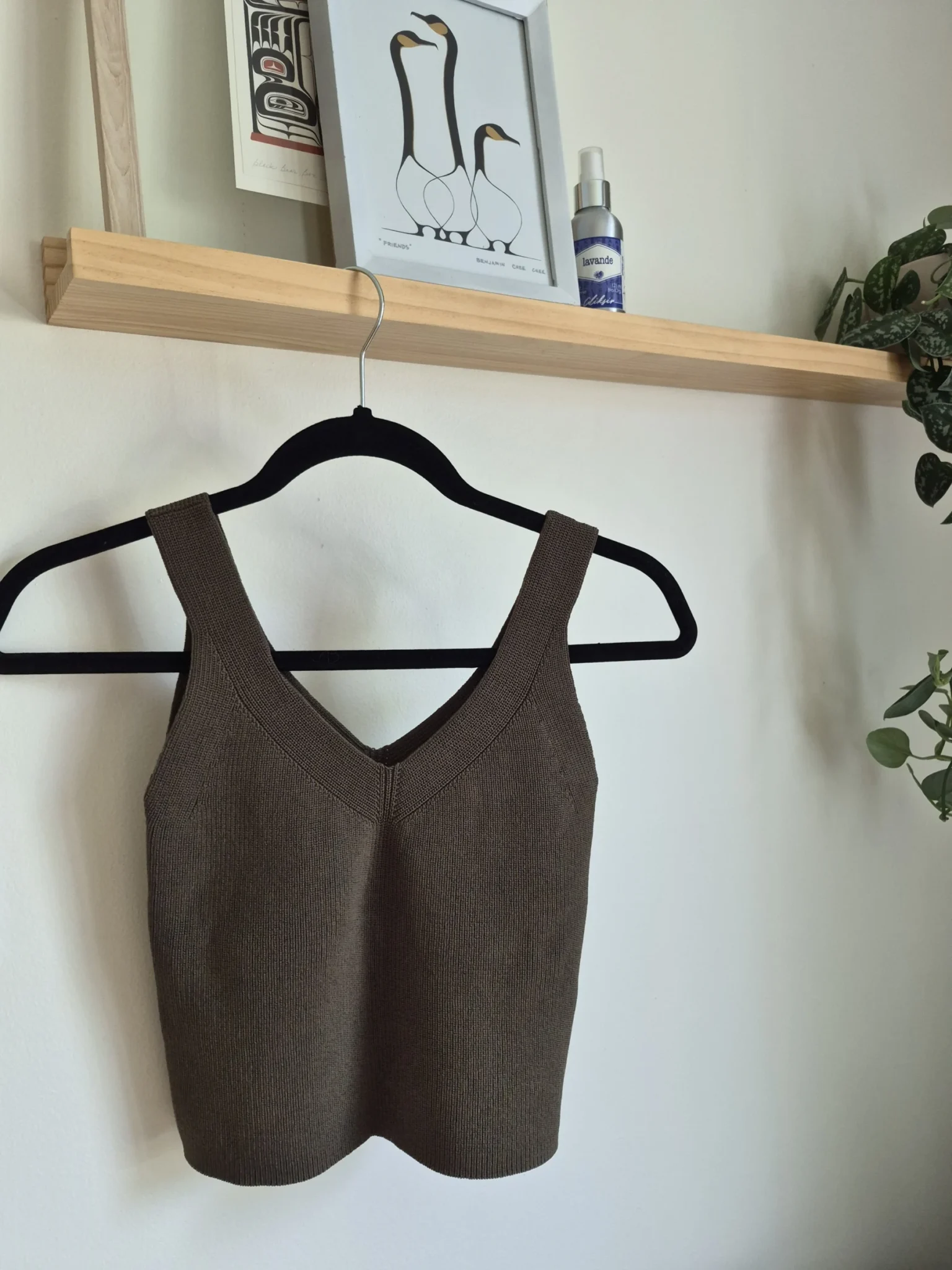 Image for Frank and Oak camisole