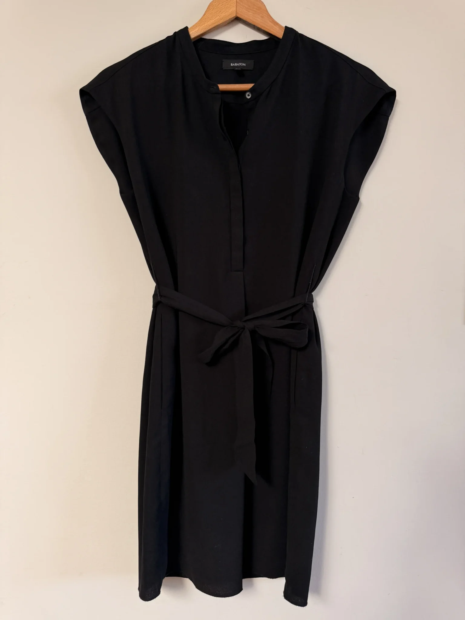 Featured image for Babaton Basic Black Dress