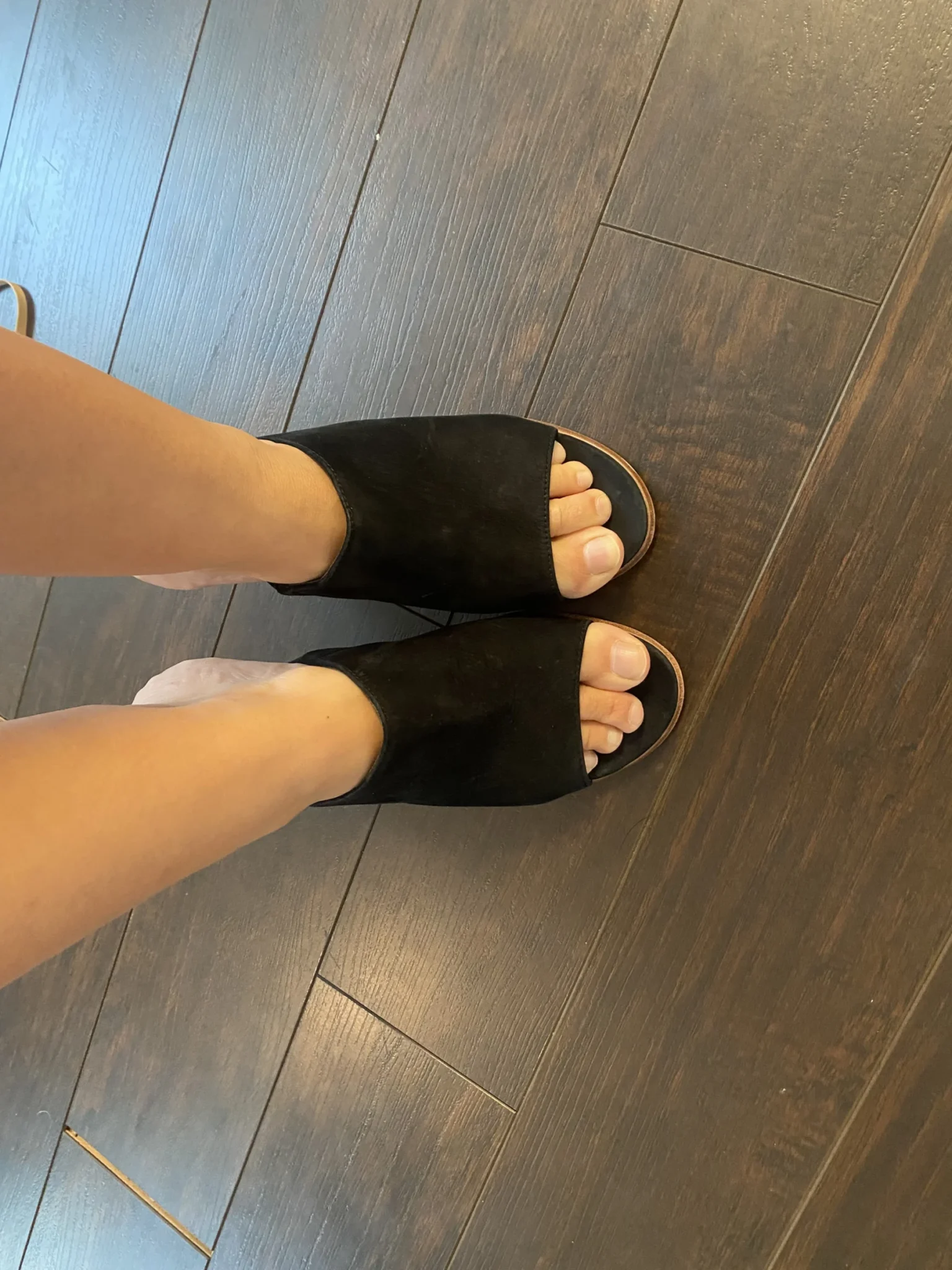Image for Black suede Vince Camuto mules – Size 8M/38