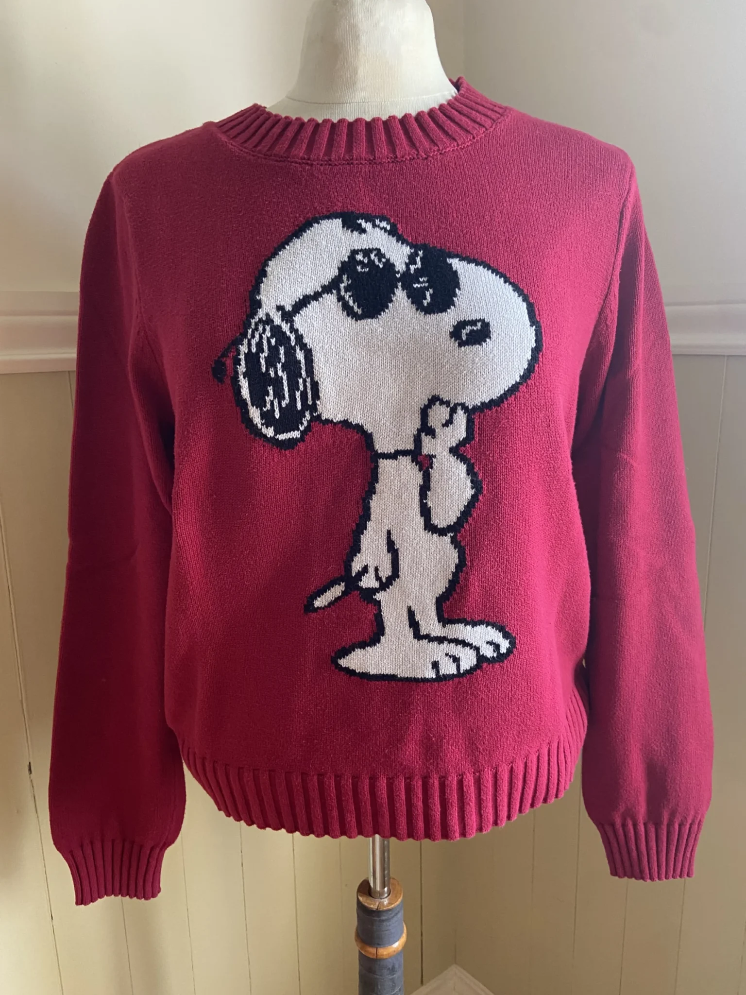 Featured image for Sympathique Snoopie framboise