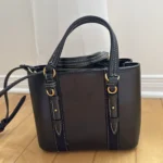 Featured thumbnail for Zara handbag