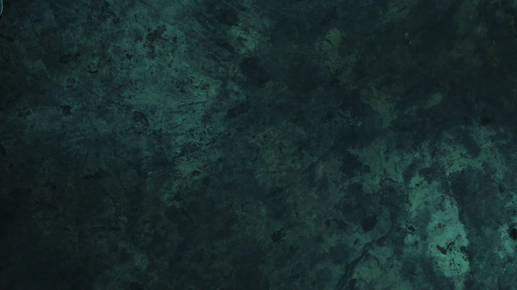 The store banner image for the store named elicharest.