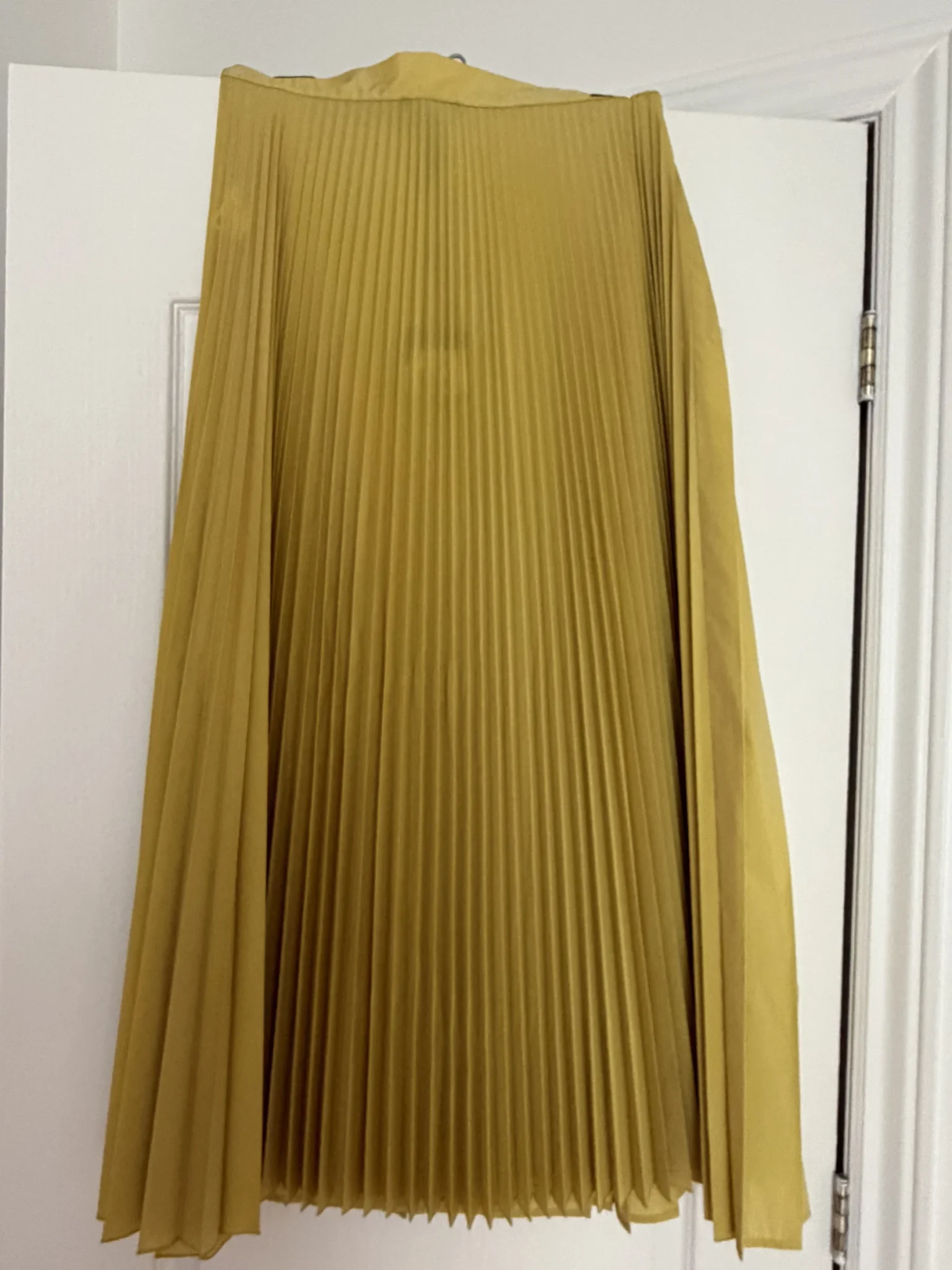 Image for Jupe Sarah Pacini à plis accordéons