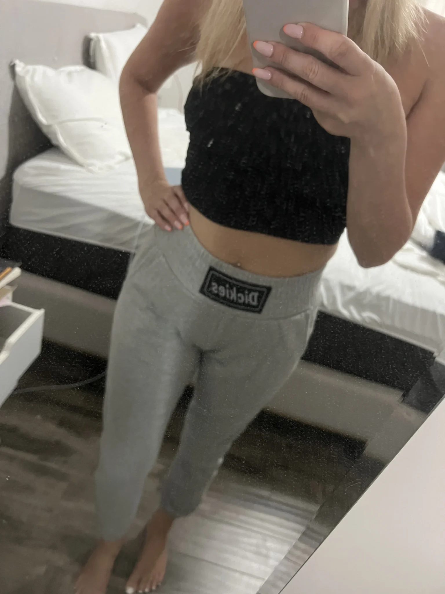 Featured image for Pantalon de jogging Dickies gris
