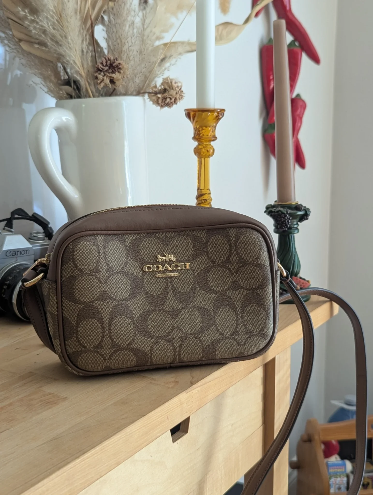 Featured image for Coach bag