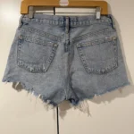 Thumbnail for Agolde Parker denim shorts